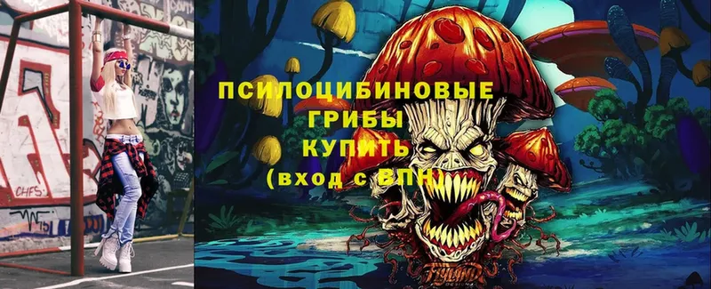 Галлюциногенные грибы Psilocybe  сайты даркнета какой сайт  Кондопога 